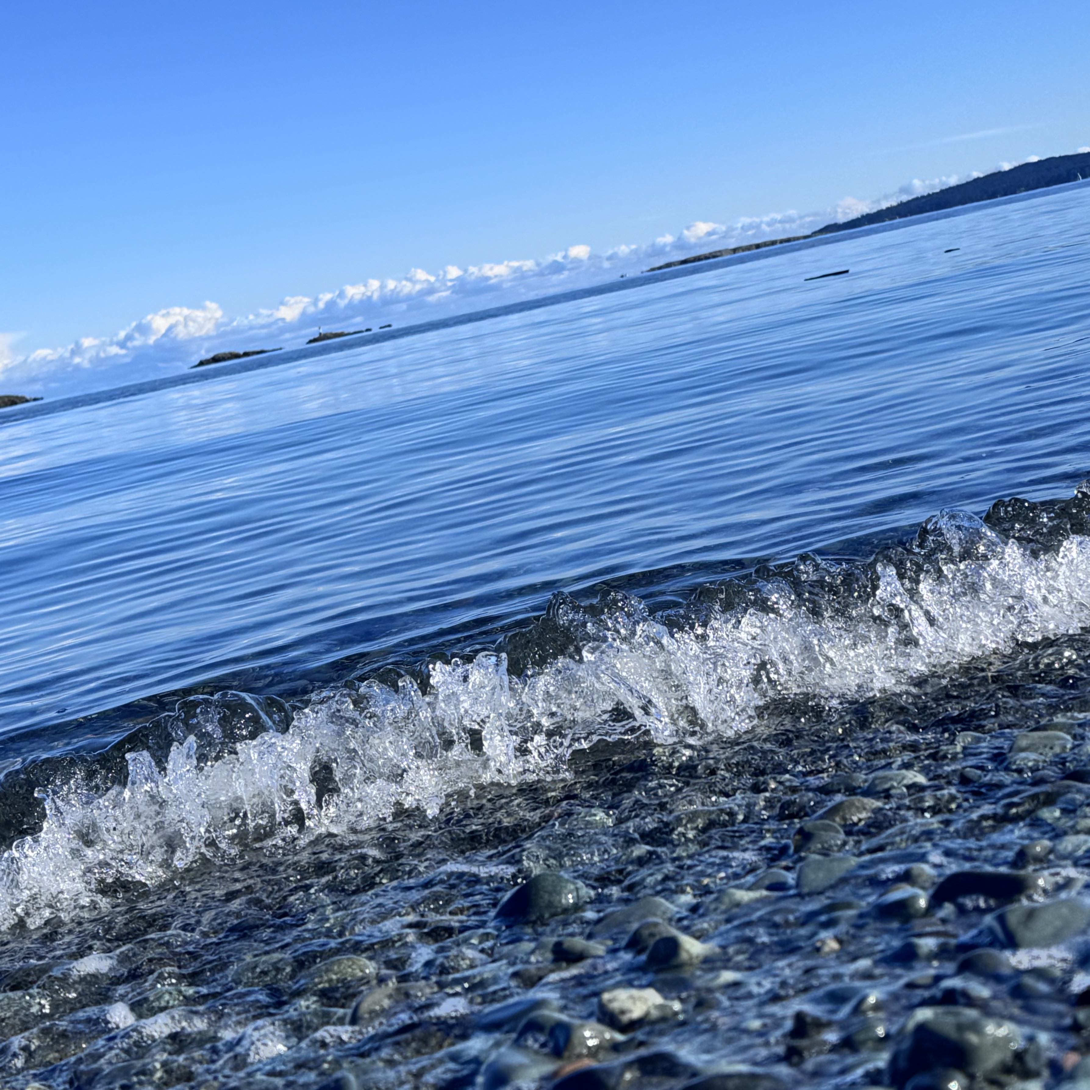 Nanaimo 1