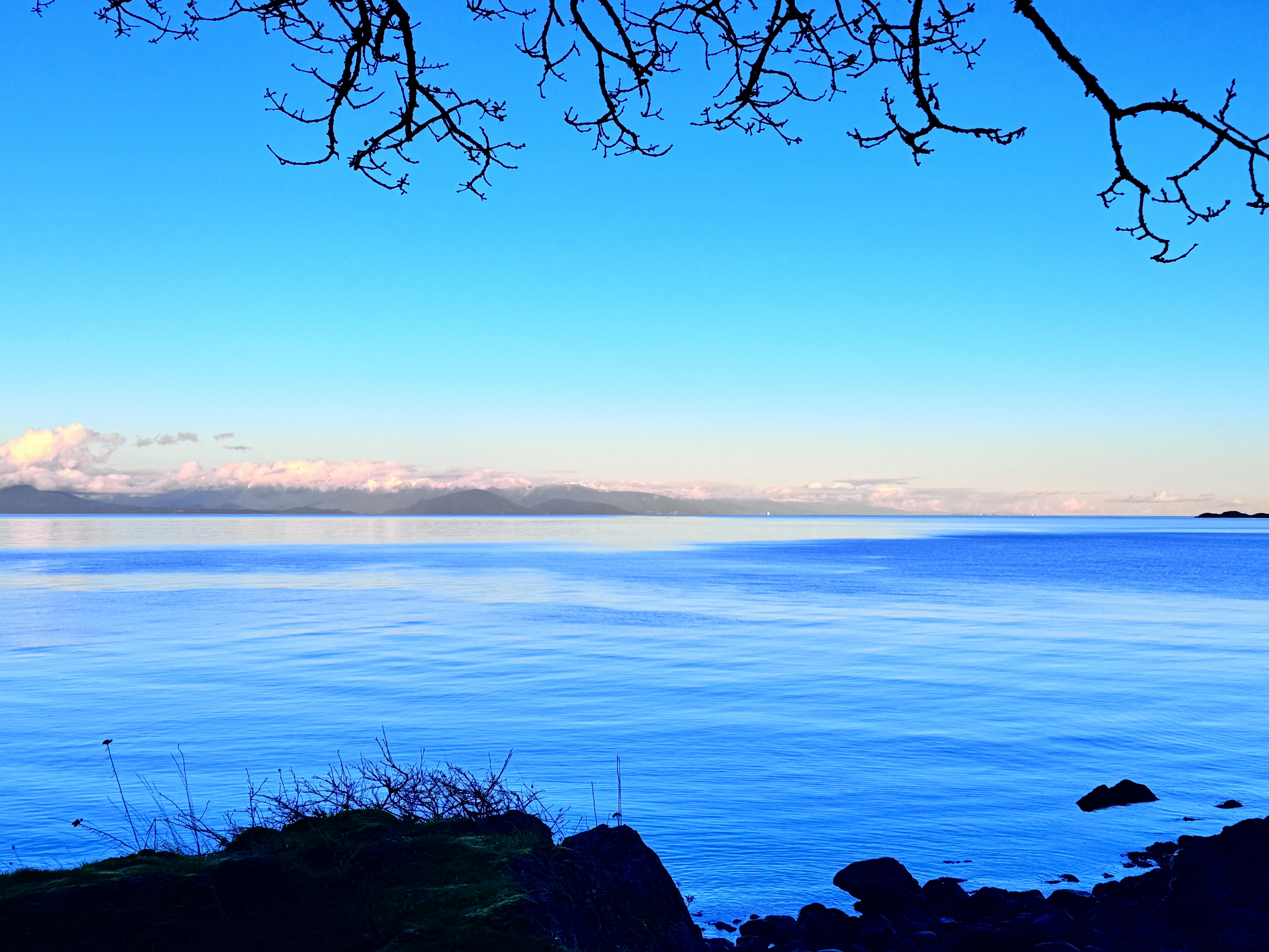 Nanaimo 4